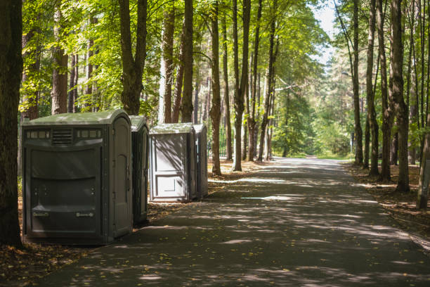 Best Local porta potty services  in Phelan, CA